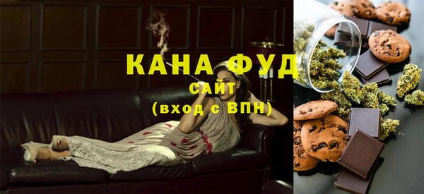 индика Нягань